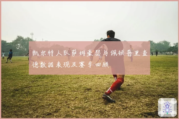 凯尔特人队萨姆豪瑟与佩顿普里查德数据表现及赛季回顾