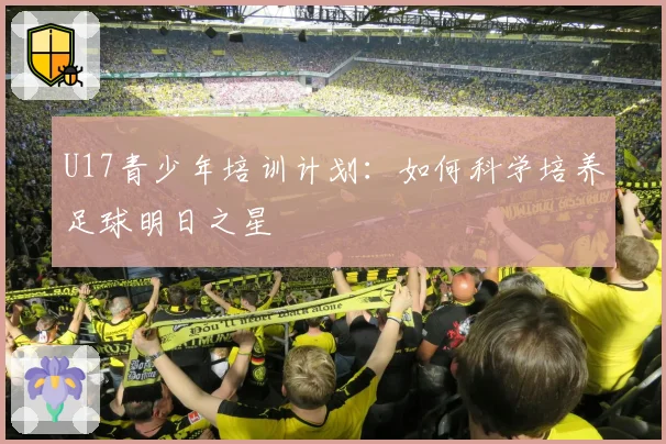 U17青少年培训计划:如何科学培养足球明日之星