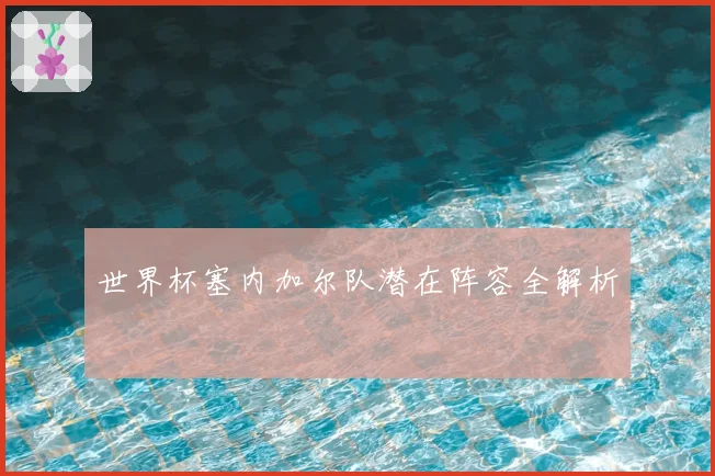 世界杯塞内加尔队潜在阵容全解析