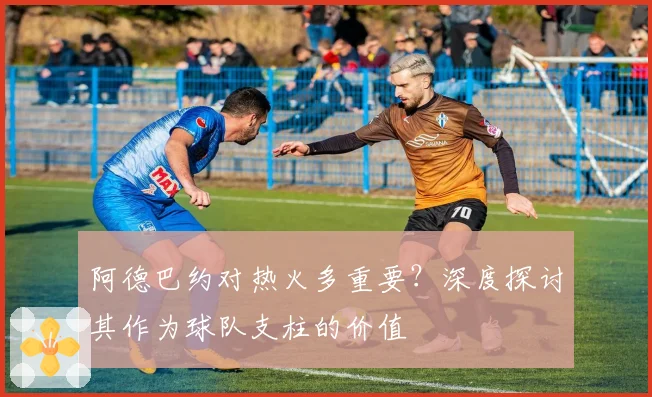 阿德巴约对热火多重要?深度探讨其作为球队支柱的价值