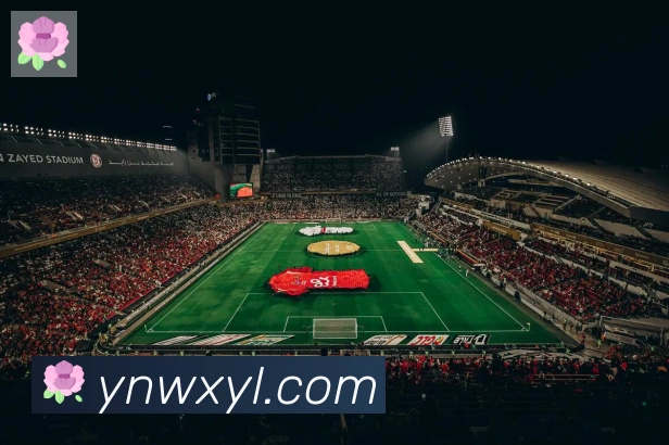bsports体育在线登录品牌故事