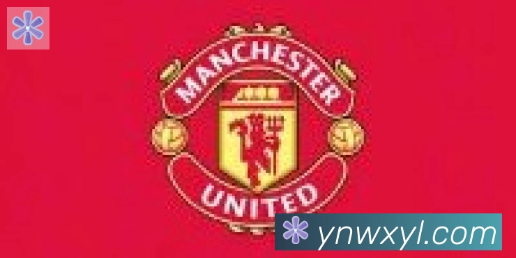 bsports体育在线登录合作伙伴